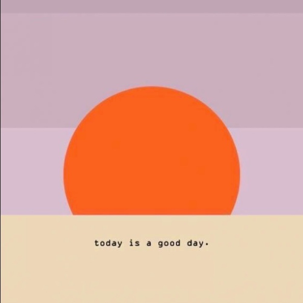 Meet your Posher, Delaney